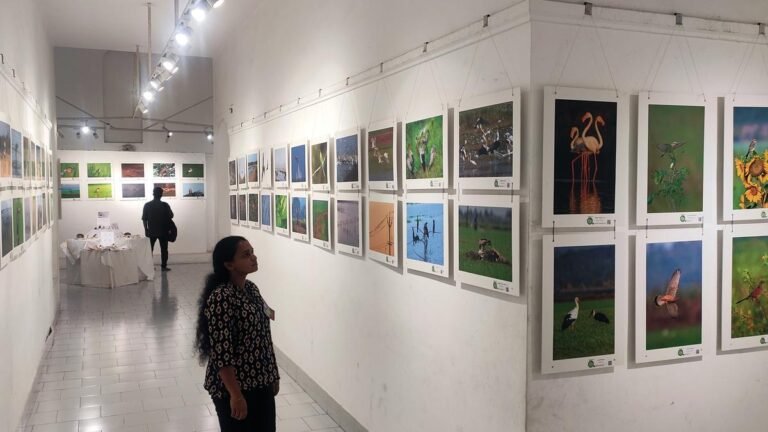 EXPO Photography celebrates the biological diversity of the bike fields