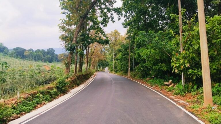 Five new roads launched in idukki
