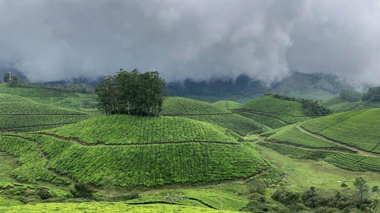 Premature monsoon arrival affects the tourism sector in idukki