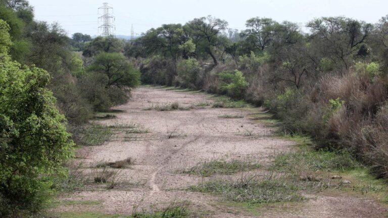 The Supreme Court pulls the pandjab to be “high hands” in the designation of land intended for Syl Canal