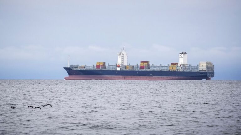 India is a big move! It forbids Pakistani ships from ports to “ensuring the safety of assets” after the attack Pahalgam | The news today