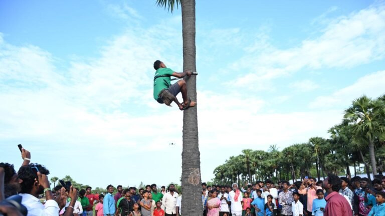 Policy of palm: Protest wrapped at the festival in Tamil Nadu