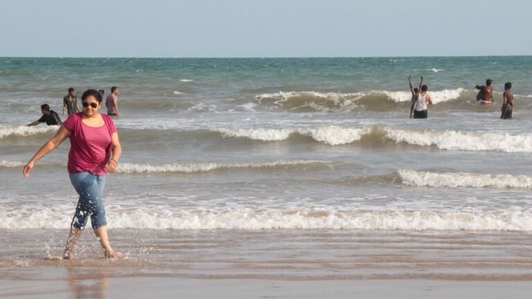 AP Chambers suggests the development of Coastal Beach corridor between Suryalan and Vadarev