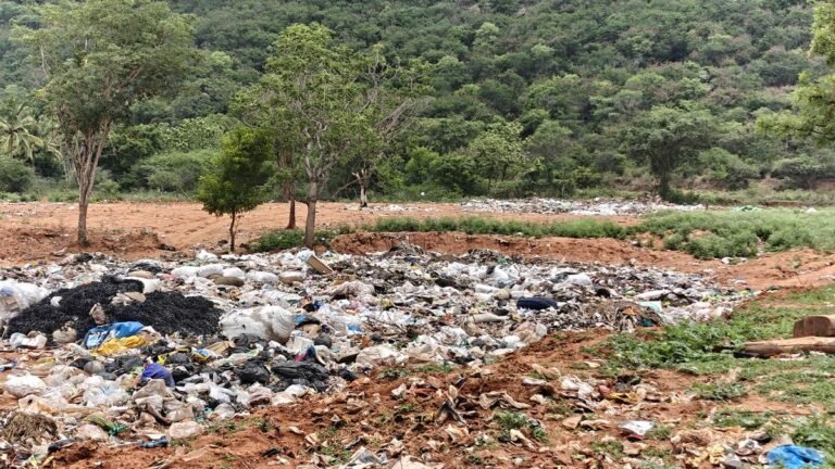 Integers over the waste along the foothills of Maruthamalai as a video of a patient of elephant feeding on waste surfaces