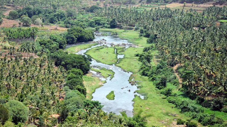 The form sits and explore the state of forest land: Supreme Court for States, UTS