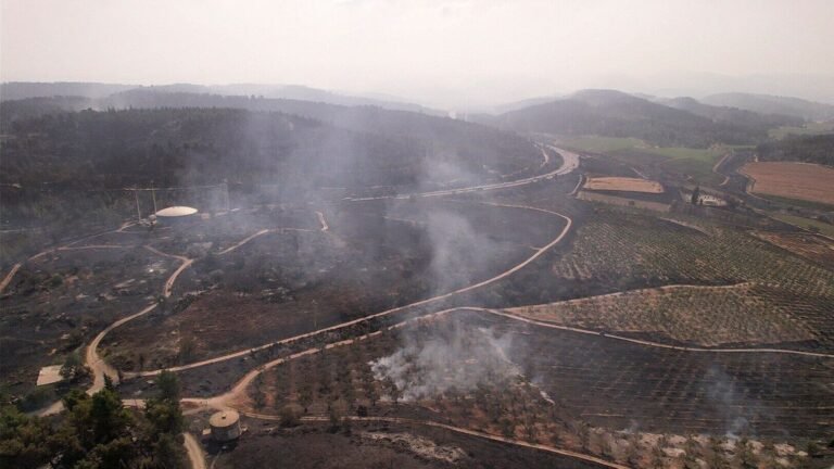 Israel reports: Massive fire near Jerusalem has brought under control, strong winds can reign flames | The news today
