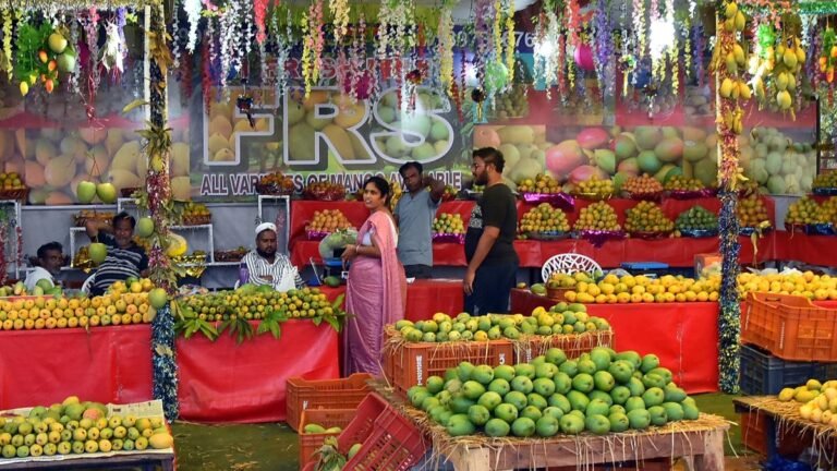 More than 250 manga varieties to be displayed on the Mango Diversity Show Sangareddy Frs on 16 and 17 May
