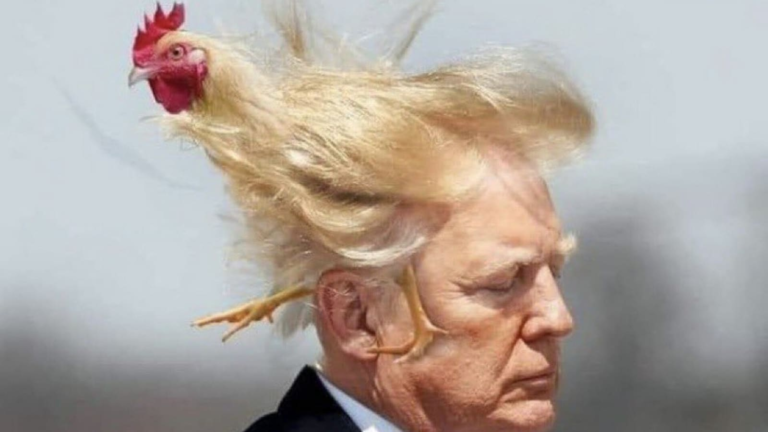 Trump Taco Memes: Internet Mocks U-Turns, but the President insists: “I am not closing” | The news today