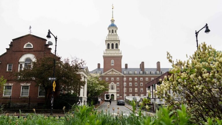 The official message of President Harvard, because Trump Govt blocks the enrollment of foreign students: “Makes to secure …” | The news today