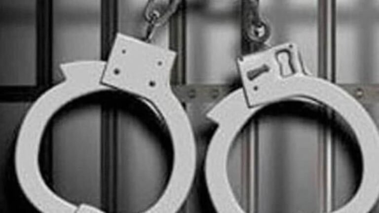 Indian man, 37 years old, organized armed robbery to help immigration fraud, confessed in us This is how it did The news today