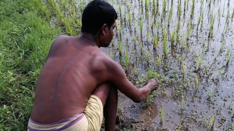 Monsoon to hit Kerala by May 25, says IMD | The news today