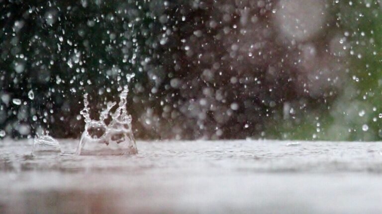 Weather in Delhi: Rain, thunderstorms are expected today. Check the prognosis 5 days today news