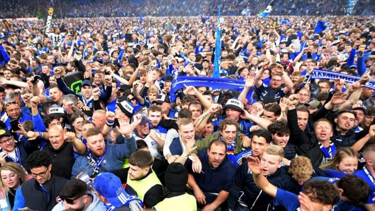 Watch: Hamburg fans will attack the playground after promotion of the Bundesliga, 25 on the left hospitalized