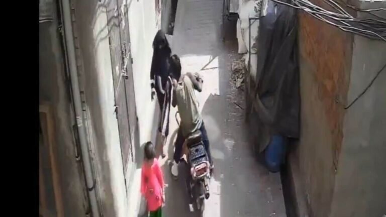 Shocking video: Biker forcibly kisses a woman on the abandoned Meerut street, wine arrested | The news today