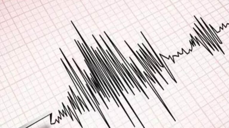 Earthquake today: 7.4 Earthquake Make Trees the South Coast Chile and Argentina 2. The news today