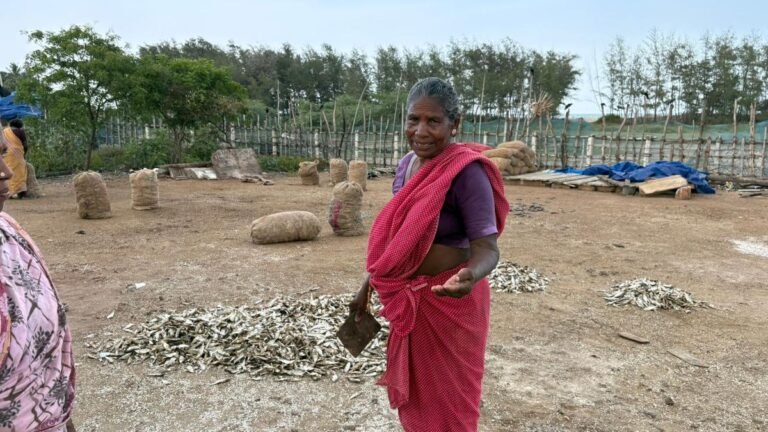 Kottosryry honey fisherman to look for a dedicated space for drying fish