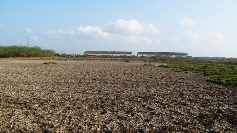 The center agrees with the transfer of 1,245 acres of land Salt Commission to AP Maritime Board in Kakinada