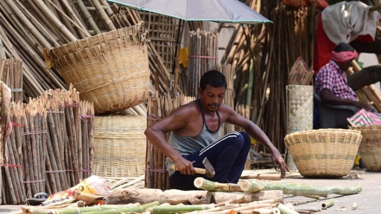 Serp sanctions £ 50 Lakh for bamboo production center in the ASR district