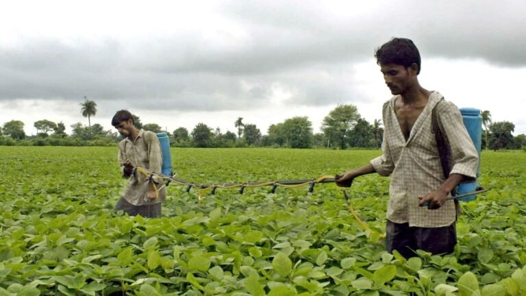 New rules for marking insecticides: QR codes, security symbols compulsory; Prohibition of unsatisfactory products The news today