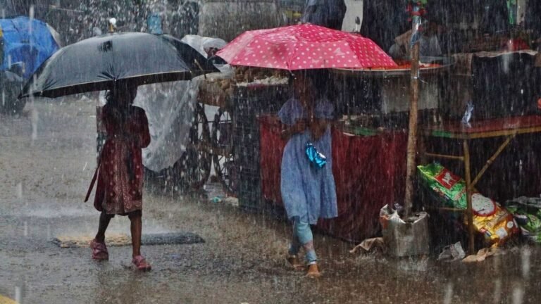 Expect heavy to very strong precipitation in the southern peninsula India: IMD | The news today