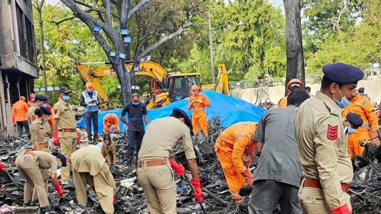 Air India Ahmedabad Flying Crash: The government has set up a high -level panel, examines possible causes