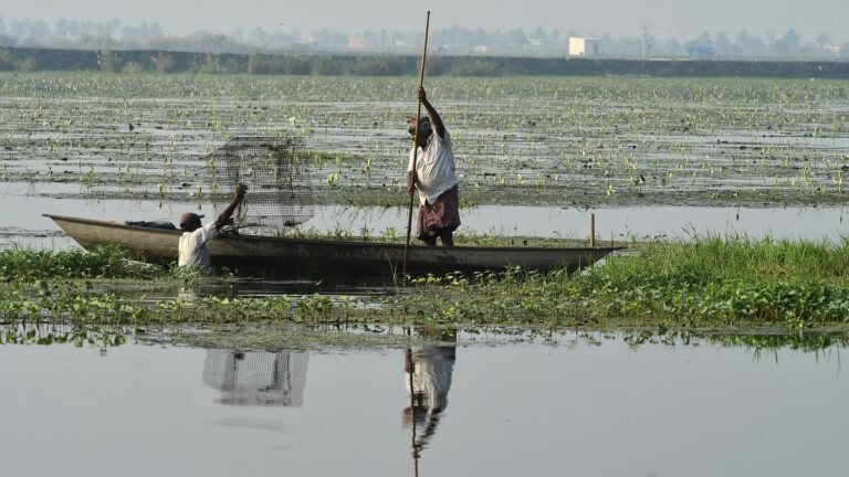 Central Empowered Flags Urgent Environment and Infrastructure on Lake Koller