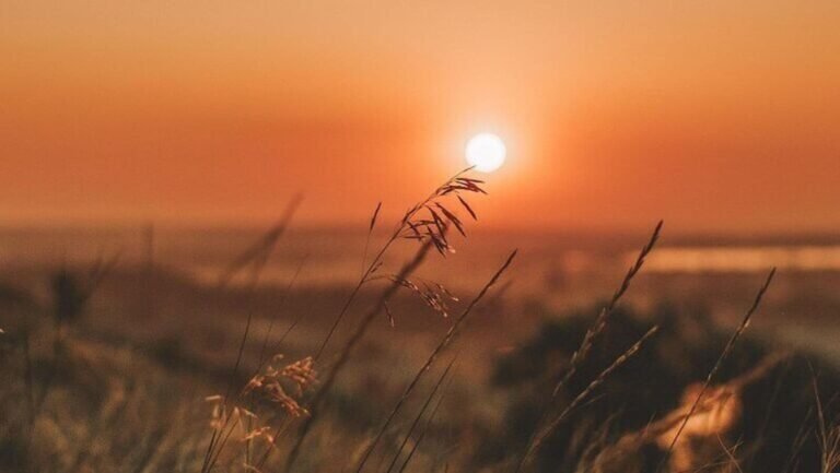 Summer Solstice 2025: When is it what it means and why it is the longest day of the year Tech Word News