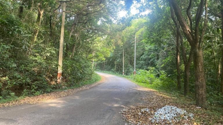 Karnataka Govt. Looking for a revised proposal for the Goa-Tamnar Power Project project