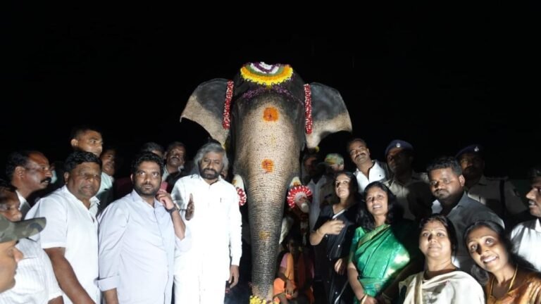 The Arjuno Elephant Memorial raises questions about NTCA’s violations