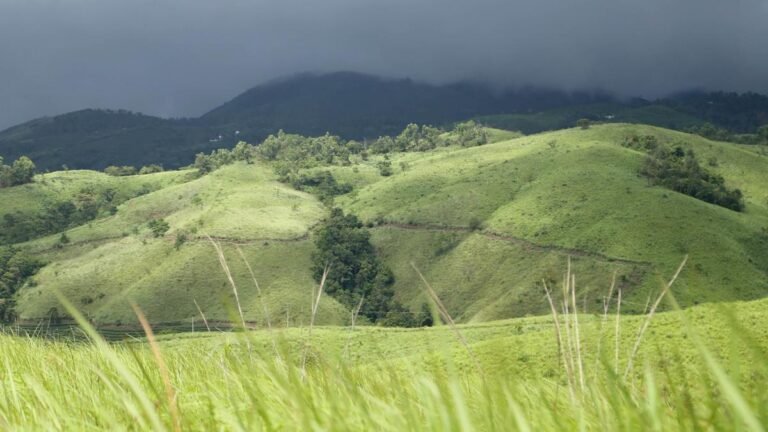 Green Tourism Circuit in Pala is waiting to take off