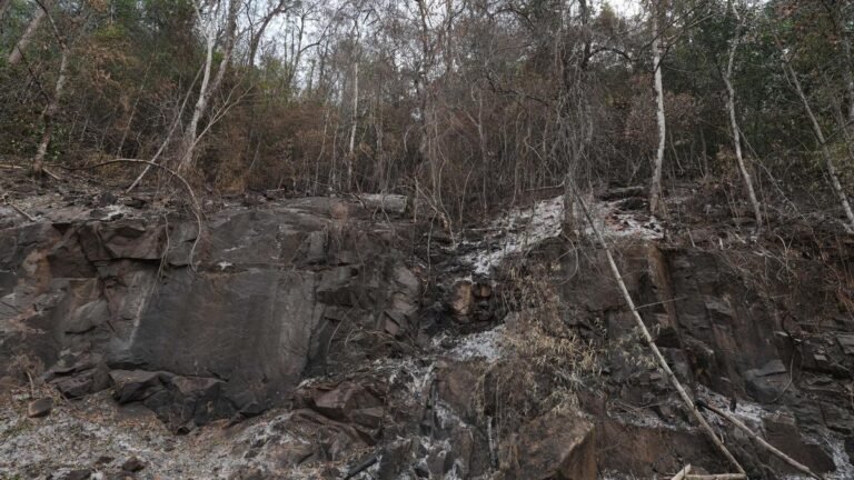 Rape accused of hiding in the forests of Sabarimals for decades arrested