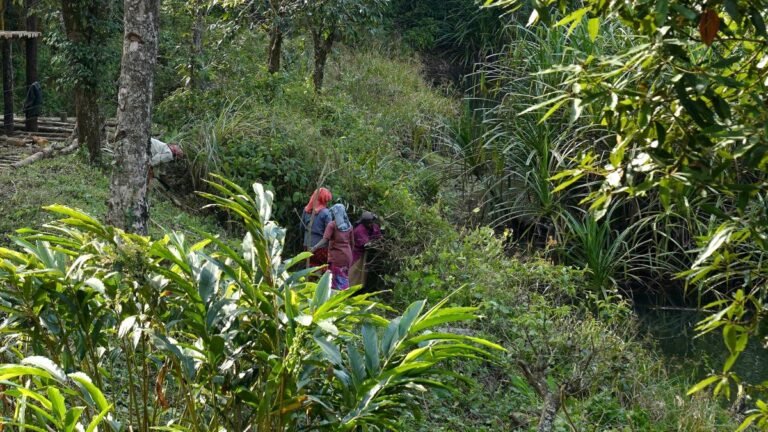 Gavi stops after a distance between workers, KFDC officials