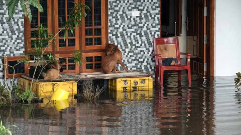 Monsoon in the crank phase of intense spells, be active after June 10