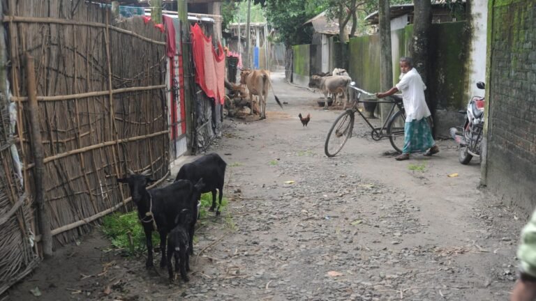 Bad rural roads in West Bengal accused of accidents, deaths before the monsoon