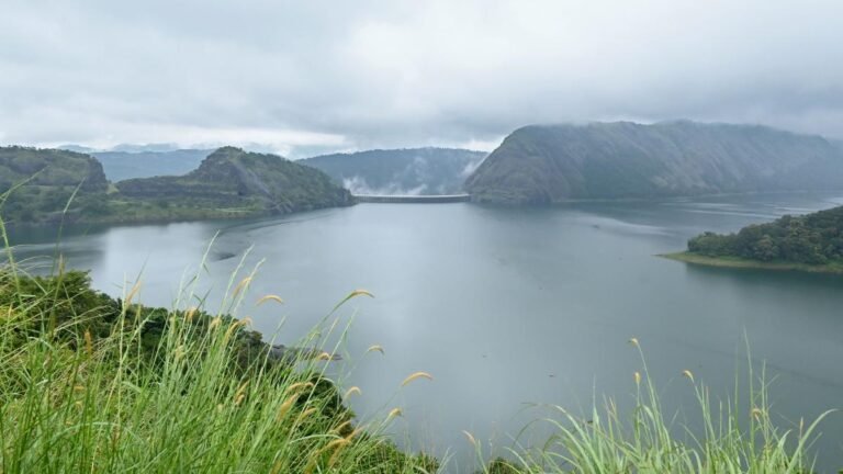 Strong rain alga idukki