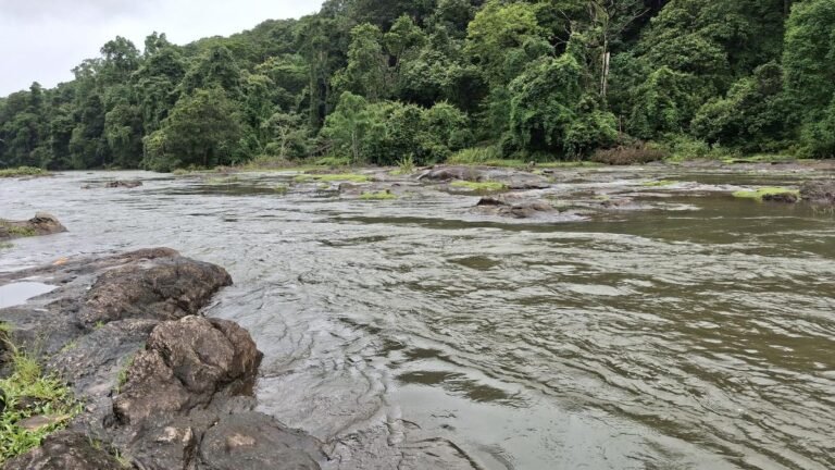 For people living downstream, opening Mulperiyar Shutter has now become a common scene