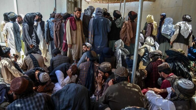 Pakistan President of the Committee on UN Sanctions promoting ban on travel, freezing assets to the Taliban connected entities | The news today