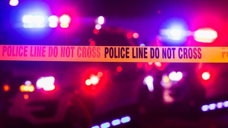 Gangster’s mother shot dead in Pandjab, nephew another killed in Delhi in separate hits | Tech Word News