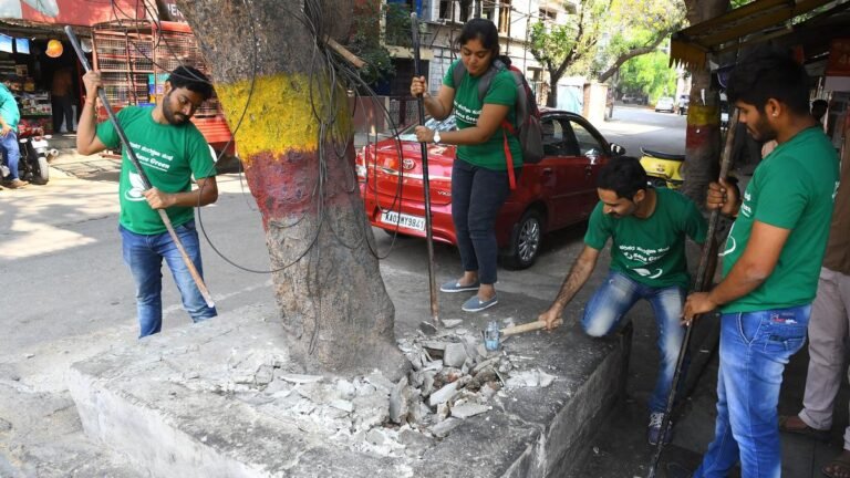 BBMP to remove concrete around the tree base to prevent a tree in Bengalur