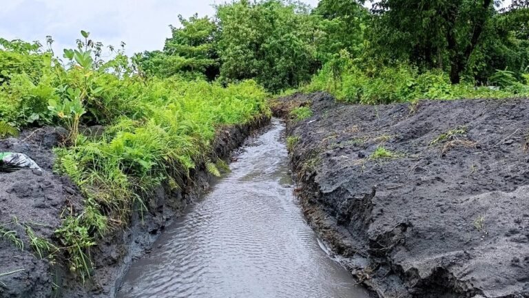 Irrigation channels with community revived in Assam