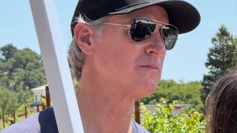 California Governor was attended by Wine-Fundraiser when La burned on protests? The message claims to have been like… ‘| Tech Word News