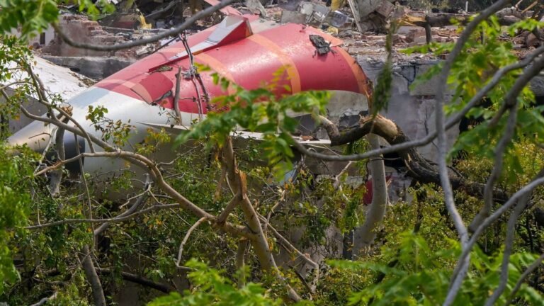 Air India Crash: Black Box examined by Indian authorities, is not sent abroad – Civil Aviation Minister’s claims Tech Word News