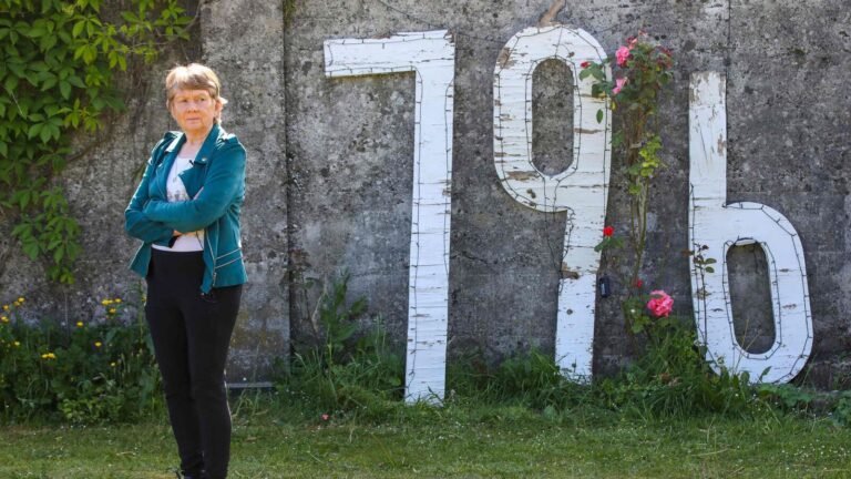 Ireland is starting to dig on a mass grave of 800 children exhibited by historian Tech Word News