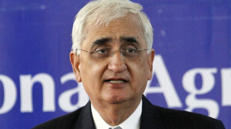 Delegations with multiple parties are intended to ensure support for India, do not emphasize domestic political differences, says Salman Khurshid