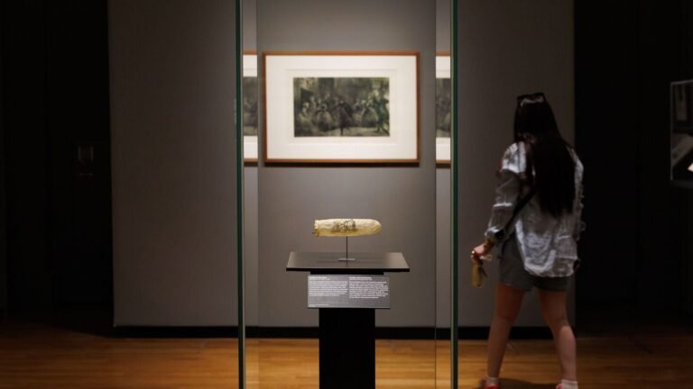 A 200 -year -old condom decorated with erotic art is exposed in Amsterdam Rijksmuseum | The news today
