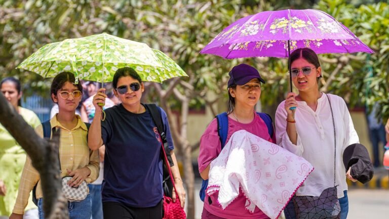 No relaxation from heat -burning in northwest India by Sunday The news today