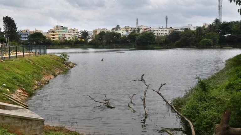 As the inhabitants met 15 years ago to get back the lake puttenahalli in Bengalur