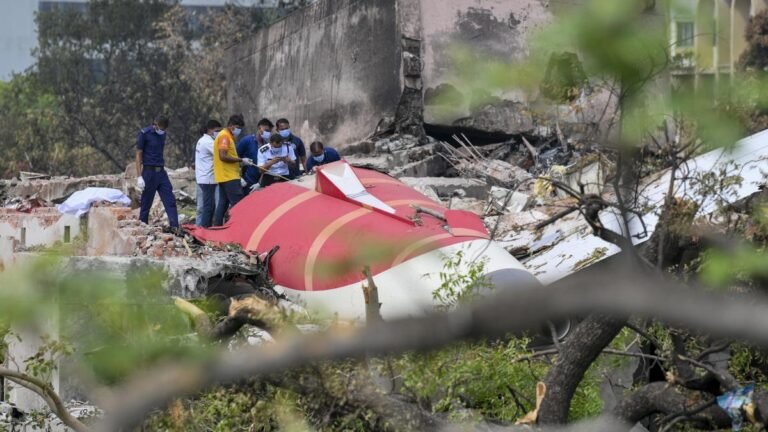Air India Ahmedabad Flying Crash: The Government has set up a high -level committee to meet for the first time on June 16