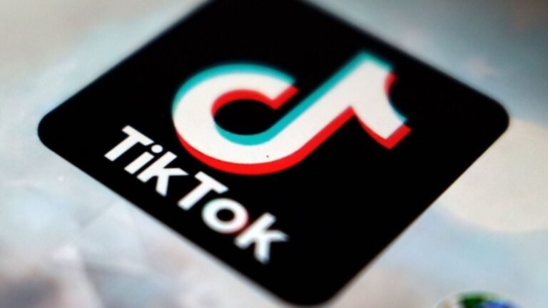 META and TIKTOK Challenge EU Supervisory fee in court for “unfair” calculation: all details | The news today