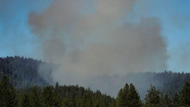Idaho Ambush: Two firefighters killed in a reaction to a brush fire; Governor calls it a “abominable attack” – the best update | Tech Word News
